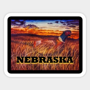 Nebraska Pheasant Sticker